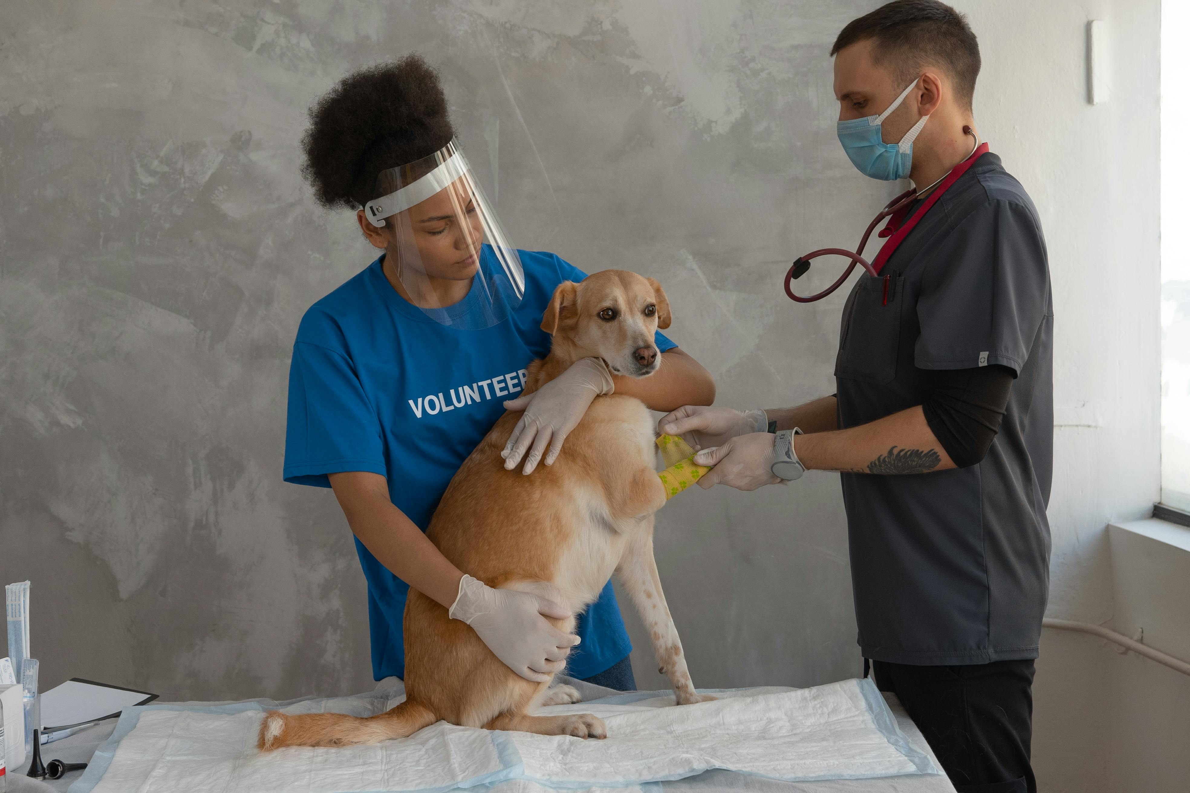 Vendaje y control de heridas en consulta