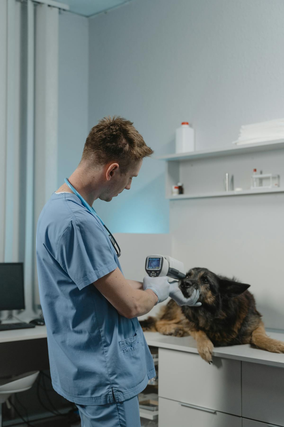 Veterinaria conversando con una dueña y su perro