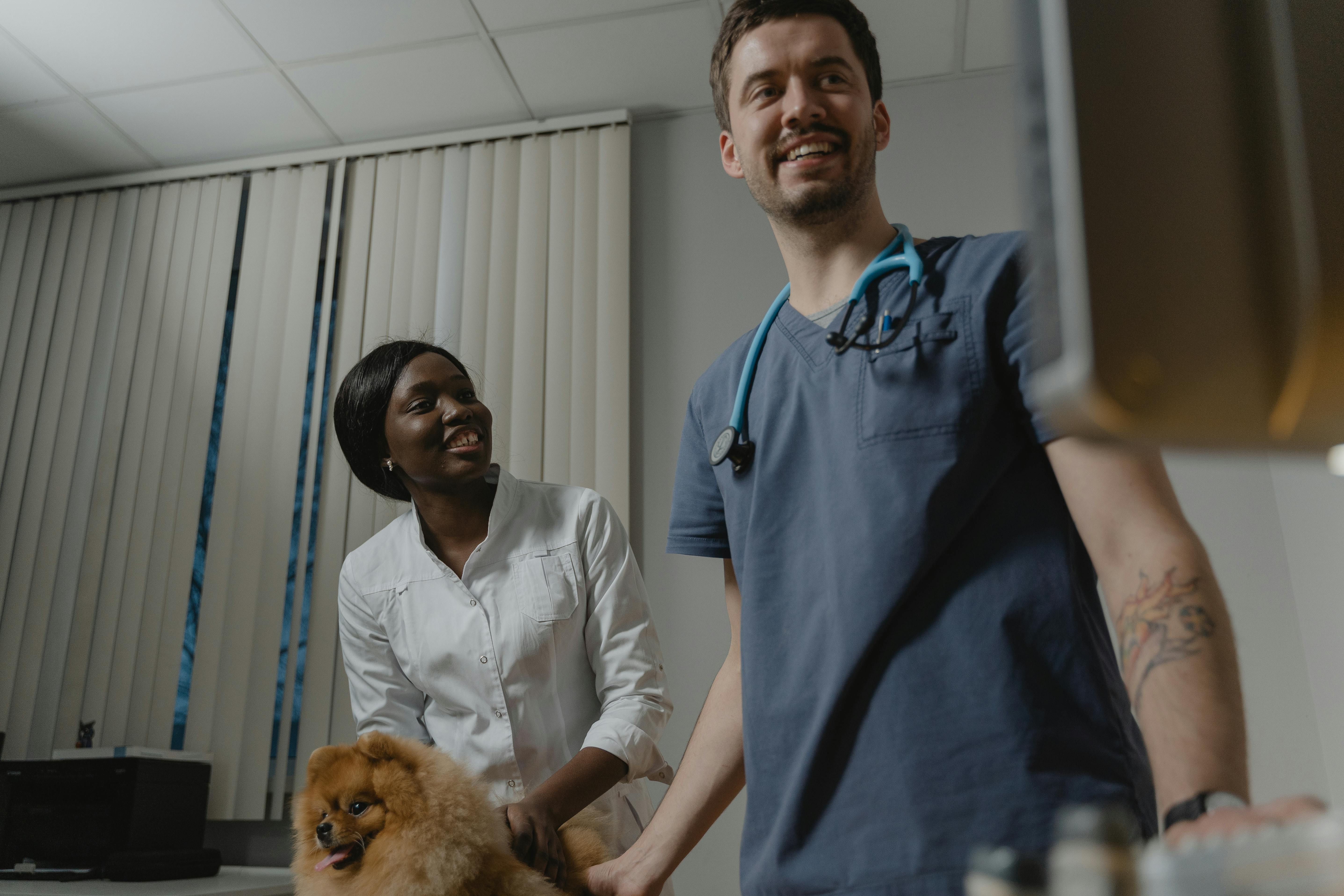 Botiquin veterinario